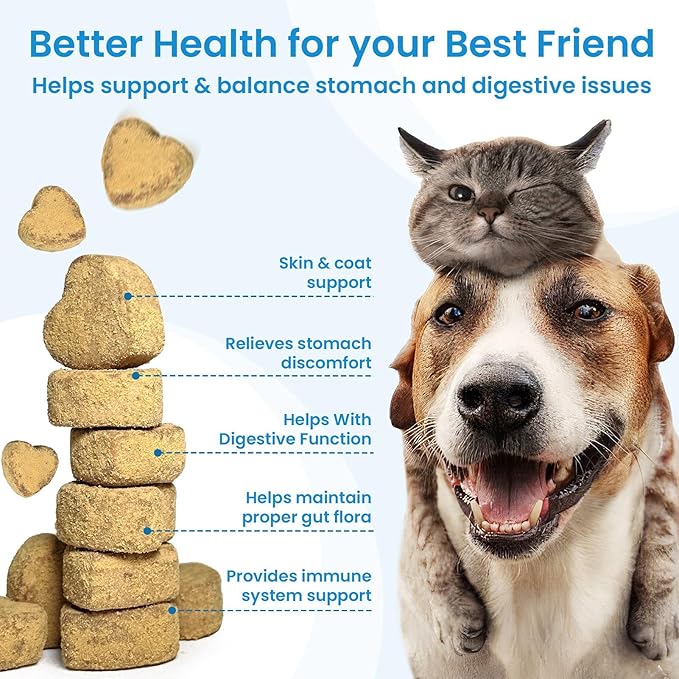 Probiotics for Dogs - Dog Probiotics for Gut Health & Digestive Health, Support Immune System, Diarrhea & Seasonal Allergies, Dog Supplement with Prebiotics & Digestive Enzymes, 180 Soft Chews