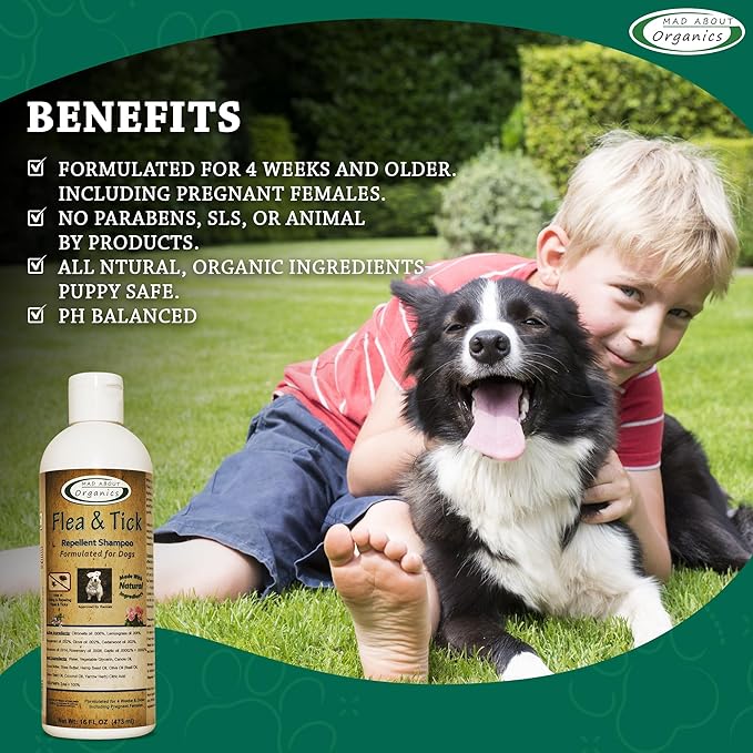 Flea and Tick Repellent Shampoo Formulated for Dogs - Dog Shampoo for Flea and Tick Prevention, Natural Flea Treatment for Dogs, Kills Eggs and Larvae, Effective Protection - 16oz