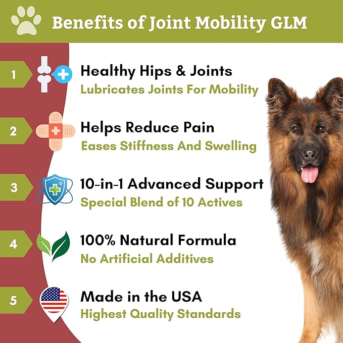 Wholistic Pet Organics: Joint Support Supplement for Dogs - Green Lipped Mussel (1lb) with Glucosamine & Chondroitin - Dog Hip & Joint Pain Relief - Natural Arthritis Relief & Long-Term Joint Health