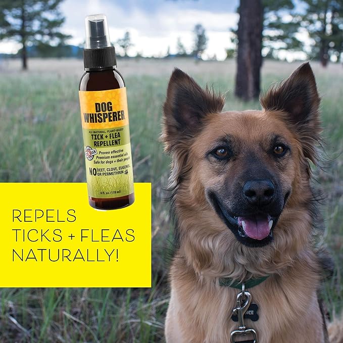 Dog Whisperer Tick + Flea Repellent, All-Natural, Extra Strength, Effective on Dogs and Their People (4 Ounce Spray)