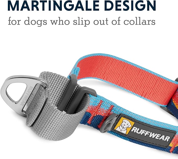 Ruffwear, Web Reaction Dog Collar, Martingale Collar for On-Leash Walking, Sunset, 20"-23"