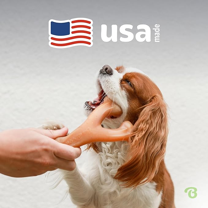 Benebone Wishbone Durable Dog Chew Toy for Aggressive Chewers, Real Chicken, Made in USA, Small, for Any breed