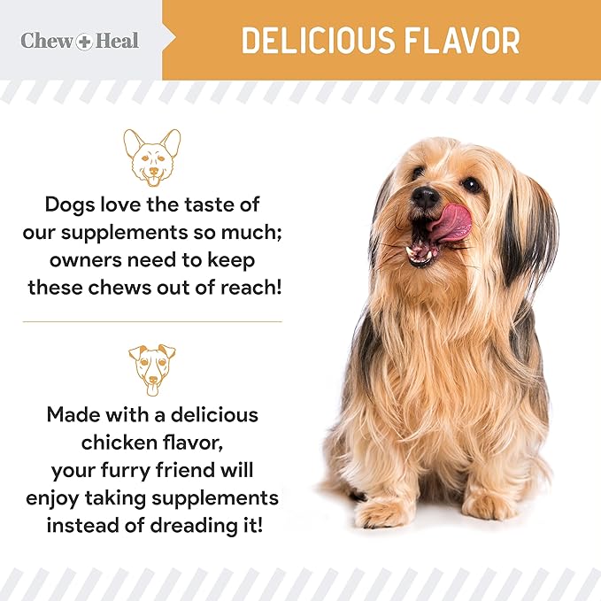 Salmon Oil for Dogs - 60 Soft Chew Omega Treats for Skin and Coat - Fish Oil Blend of Essential Fatty Acids, Omega 3 and 6, Vitamins, Antioxidants and Minerals - Made in USA