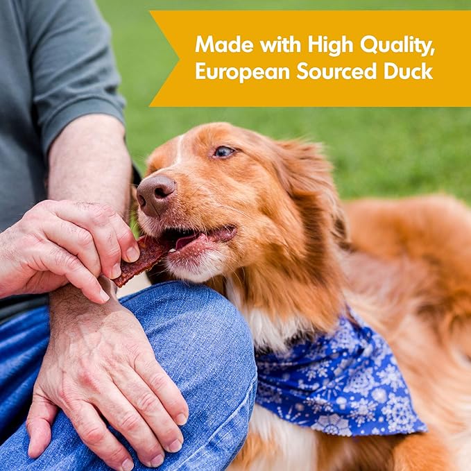 Dogswell Immunity & Defense, Flaxseed Oil, Turmeric, Vitamin E & A, Healthy Aging, Duck Jerky 20 oz, Model: 842222
