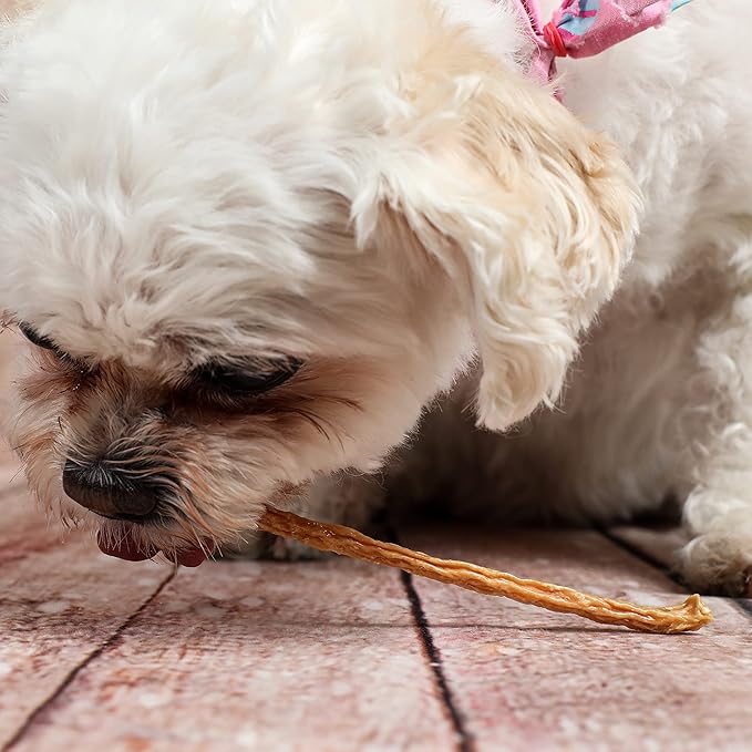 Chicken Jerky Sticks Crunchy Dog Treats Made in The USA Single Ingredient for Small to Large Dogs 75 Count 8oz