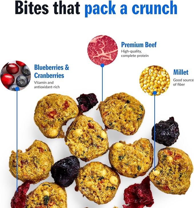 PetPlate FreshBaked Dry Dog Food Grain-Inclusive | Human Grade Dog Kibble | Vet Designed and Formulated with Prebiotics and Postbiotics | No Fillers or by-Products | 2lbs (Beef)
