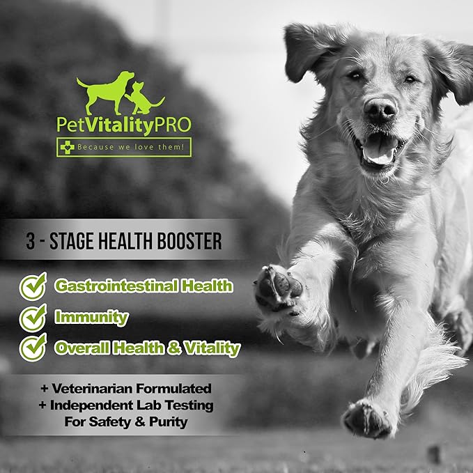 Probiotics for Dogs with Natural Digestive Enzymes ● 4 Bill CFUs/2 Soft Chews ● Dog Diarrhea Upset Stomach Yeast Gas Bad Breath Immunity Allergies Skin Itching Hot Spots ● 60 Count