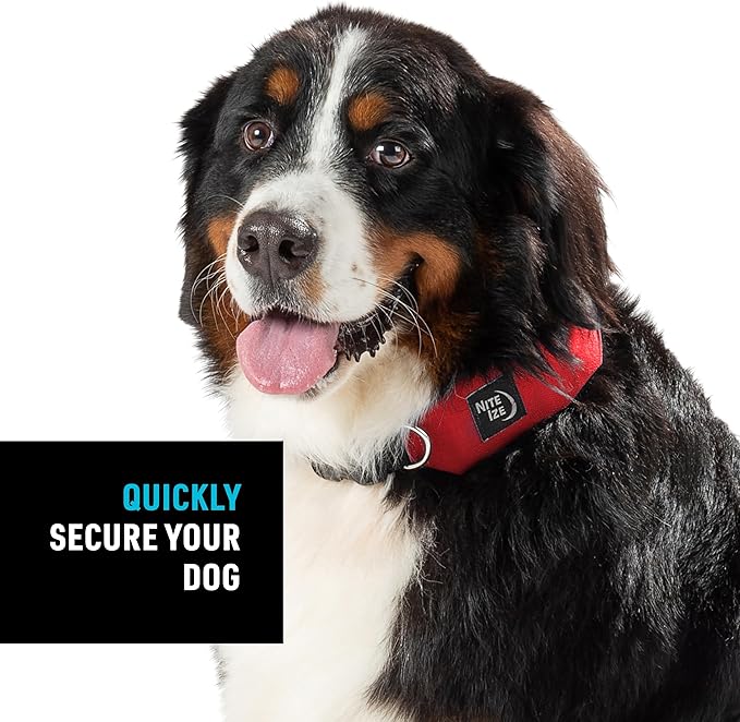 Nite Ize Raddog All-in-One Collar and Leash Combo - Heavy-Duty Dog Collar with Built-in Retractable Leash - 20" to 25" Collar - Red, X-Large