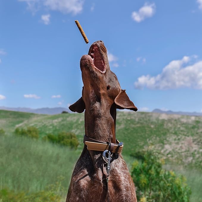 Jerky Dog Treats - Premium All Natural Soft Jerky Chew Sticks for Dogs - Healthy, Natural, Grain Free Dog Treats Made in The USA