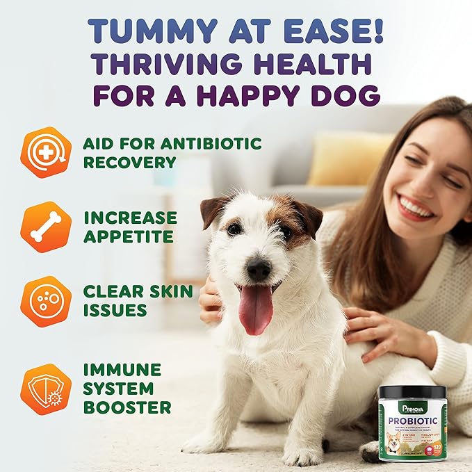 Probiotic Dog Chews for Dog Digestive Enzymes - Dog Diarrhea & Natural Allergy Relief - Puppy Probiotic Chews - Dog Allergy Chews - Pack of 120 Chews