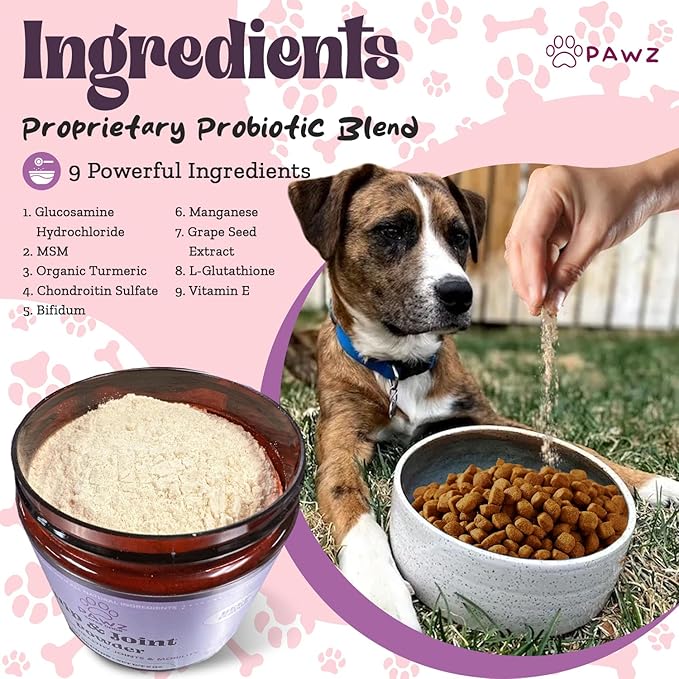 PAWZ Hip & Joint Supplement Powder for Dogs - 90 Scoops Brisket Flavor - Joint Mobility & Flexibility - Mussel, Glucosamine, Chondroitin, Msm, Vitamin E with Natural Flavors - Suitable for All Dogs