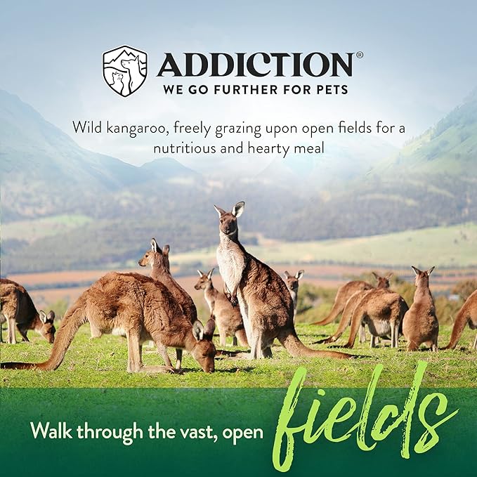 Addiction Outback Kangaroo Feast Raw Alternative Dog Food - Gently Air-Dried Complete Meal or Dog Food Topper for Digestive and Skin and Coat Health, 2 lb