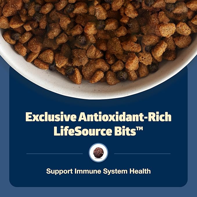 Blue Buffalo Freedom Grain-Free Senior Dry Dog Food, Provides Energy To Stay Active, Made in the USA With Natural Ingredients, Chicken & Potatoes, 4-lb. Bag