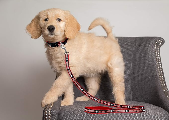 MLB PET Leash, Small, Detroit Tigers Dog Leash, Baseball Team Leash for Dogs & Cats. A Shiny & Colorful Dog & Cat Leash with Emboridered Team Name/Logo Licensed by the MLB