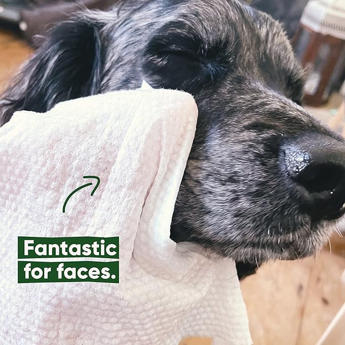 Beco Bamboo Dog Wipes, Thick Grooming Wipes For Easy Pet Cleanup, Home Compostable, 80 Count (Coconut)