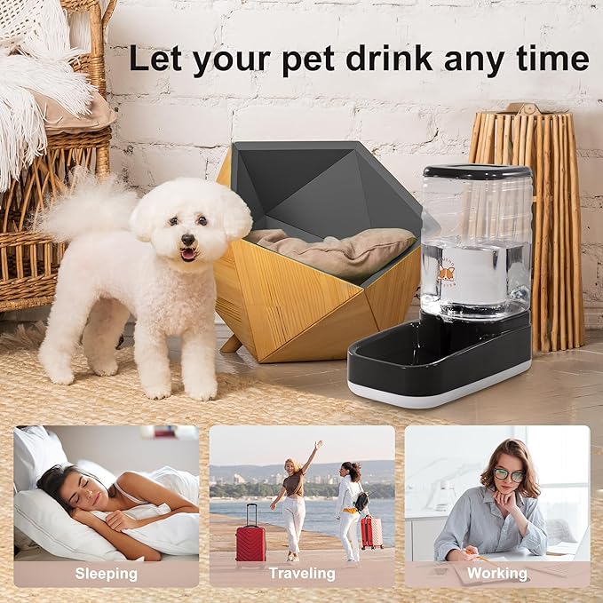 Automatic Pet Water Feeder, 3.8L Gravity Cat Water Dispenser with Cat Water Bowl, Large Capacity Water Feeder for Kitten & Small and Medium-Sized Dogs (Black)