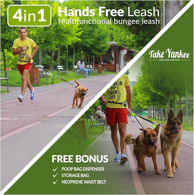 Hands Free Dog Leash for Running +Training Leash Walking & Double Dog Leash Coupler Set, Fits 2 Dogs - Bungee Leash & Reflective Leash - Adjustable Waist Belt & Retractable Leashes Take Yankee