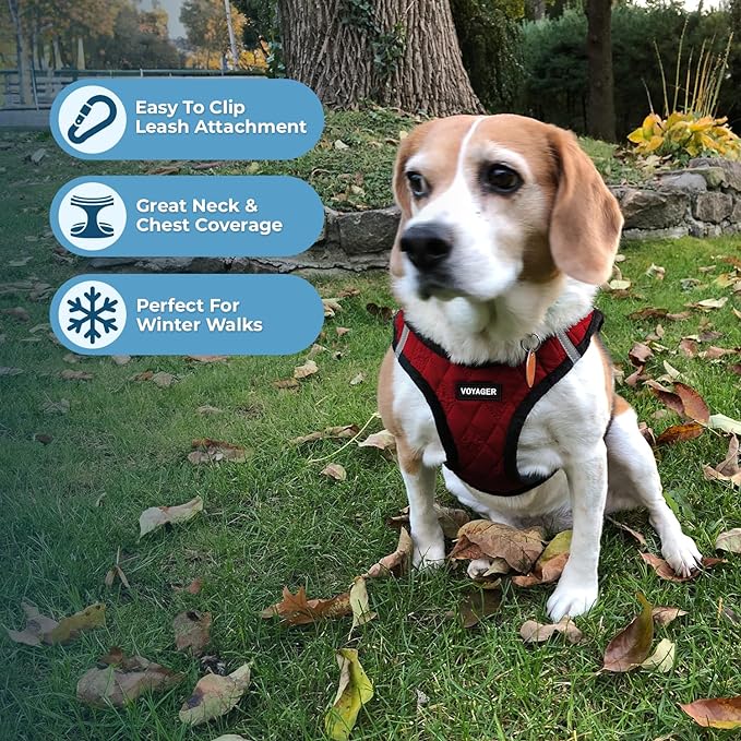 Voyager Step-In Plush Dog Harness – Soft Plush, Step In Vest Harness for Small and Medium Dogs by Best Pet Supplies - Harness (Red Faux Leather), XL (Chest: 20.5 - 23")