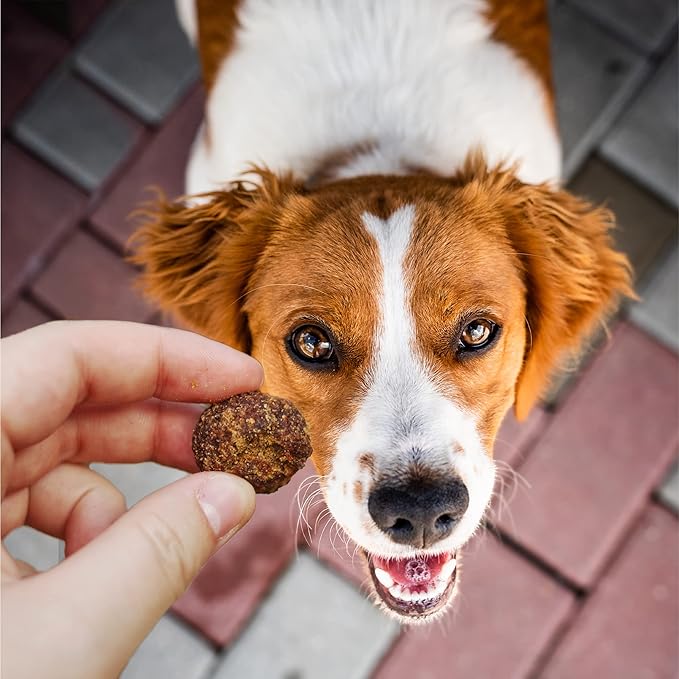 Cloud Star Wag More Bark Less Meatballs – Soft Grain Free Real Natural Chicken Dog Treats, Chicken 14 oz.