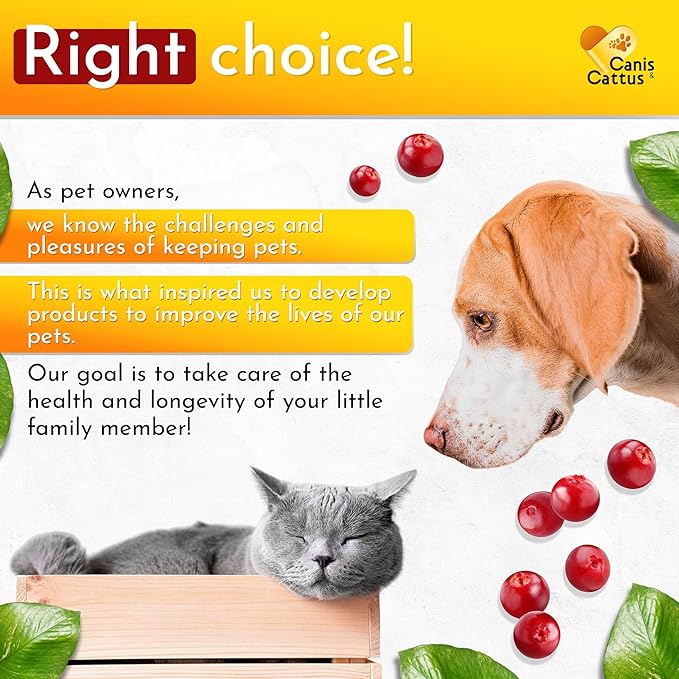 Vitamins for Dogs | Cat Vitamins | Liquid Multivitamin for Dogs | Multivitamin for Cats | Dog Vitamins Multivitamin | Cat Vitamin | Pure Ingredients | 1 oz