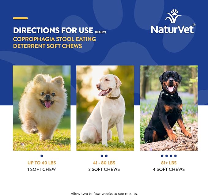 NaturVet – Coprophagia Stool Eating Deterrent Plus Breath Aid – Deters Dogs from Consuming Stool – Enhanced with Breath Freshener, Enzymes & Probiotics – 70 Soft Chews