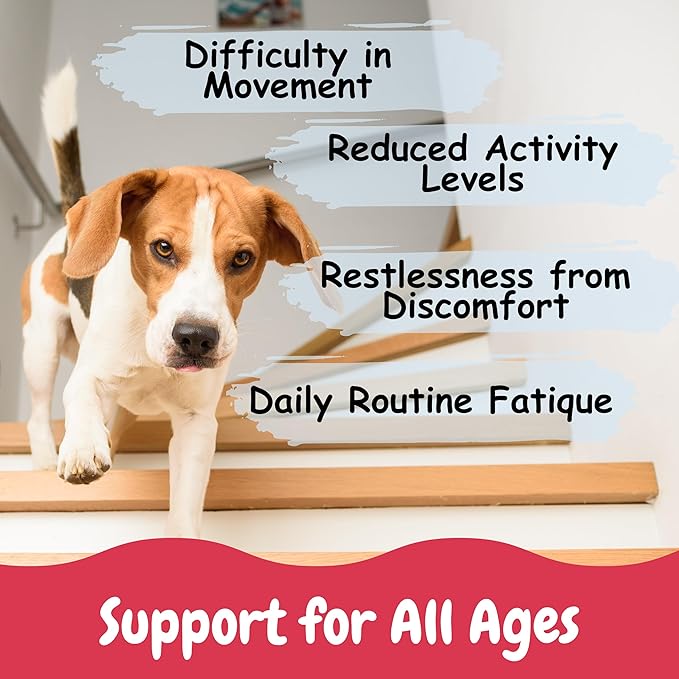 Glucosamine Chondroitin for Dogs EXTRA STRENGTH 160 ct - Hip and Joint Supplement for Dogs with Vit D/E & MSM - Dog Joint Supplement for Small, Large Breed, arthritis Pain Relief & Senior Dogs Support