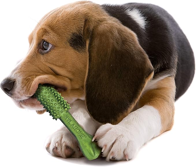 Nylabone Nutri Dent Dog Dental Treats - Natural Dog Teeth Cleaning & Breath Freshener - Dental Treats for Dogs - Fresh Breath Flavor, Medium (40 Count)