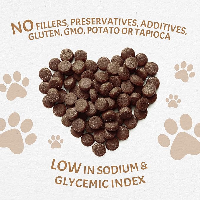 Canine Caviar Free Spirit Dog Food Limited Ingredient Alkaline Holistic Dog Food – All Life Stages Gluten Free, Ultra-Premium Dog Food – Healthy Skin & Coat – Chicken & Pearl Millet – 4.4 lbs