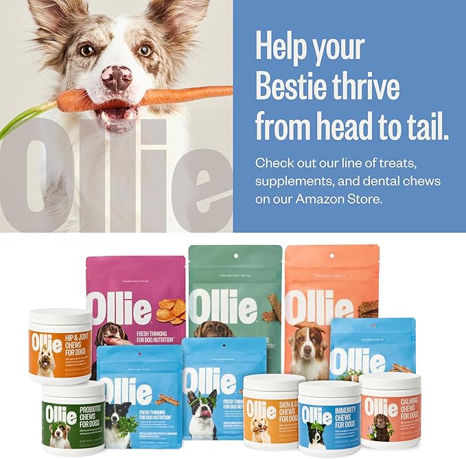 Ollie Dog Immunity Supplement - Immune Booster & Allergy Relief - 60 Count Appx.