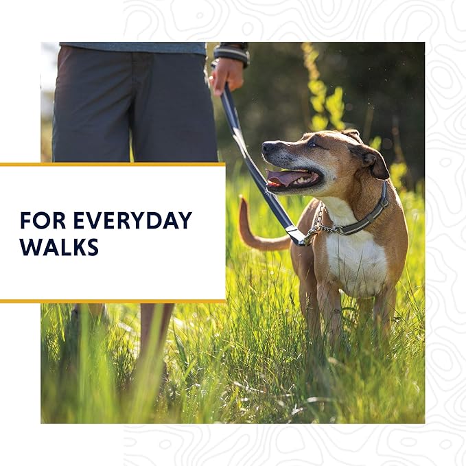 Ruffwear, Chain Reaction Dog Collar, Martingale Style for On-Leash Walking, Granite Gray, 20"-26"