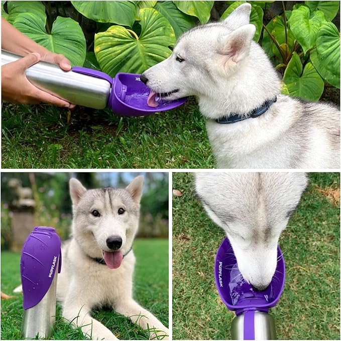 PupFlask Large Dog Water Bottle | 27 or 40 OZ Stainless Steel | Convenient Dog Water Dispenser | Puppy Travel Water Bowl | Portable Pet Water Bottle | Leak Proof Bottle Perfect Size For All Dog Breeds