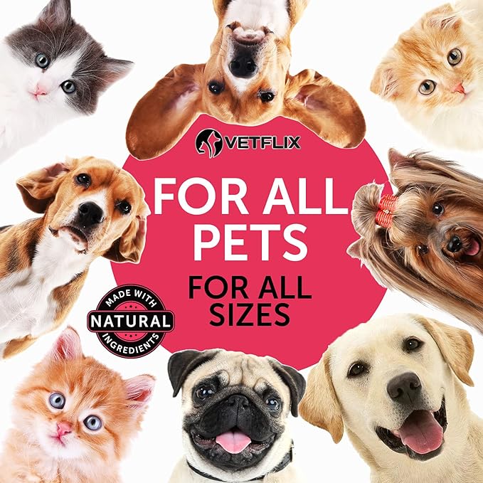 Pet Vitamins 10-in-1 Made in USA - Natural Glucosamine for Dogs & Cats, Essential Multivitamin Blend for Pet Joint Health, Longevity, Gut & Immune Health - All Ages, Breeds and Sizes 2 fl oz
