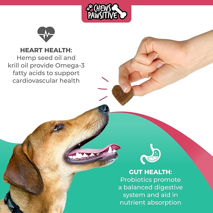 Dog Multivitamins Chewable- 15 in 1 Dog Vitamins Multivitamin for Heart Health - Omega 3 Oil for Skin & Coat, Chondroitin and Glucosamine for Dogs Joint & Mobility, Probiotics - 120ct