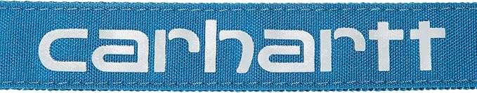 Carhartt Pet Durable Nylon Duck Leashes for Dogs, Reflective Stitching for Visibility, Marine Blue, Small