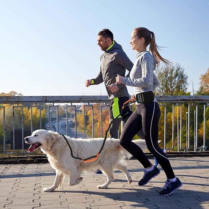 Hands Free Dog Leash with Waist Bag Fanny Pouch, Double Padded Handles, Adjustable Belt, Bungee Cord, Red