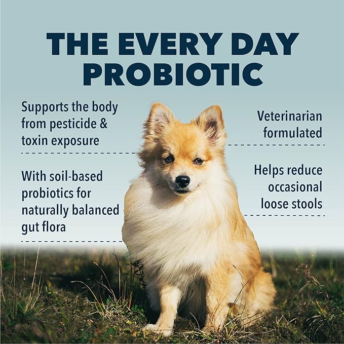 Protect - Soil-Based Probiotics for Dogs with Food-Based Prebiotics for Gut Health and Immune Support - 12 to 60 Day Supply, Depending on Dog’s Weight - Vet Formulated