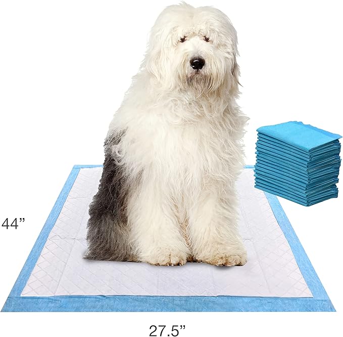 Four Paws Wee-Wee Superior Performance Gigantic Pee Pads for Extra Large Dogs, Leak-Proof Floor Protection Dog & Puppy Quilted Potty Training Pads, Unscented, 27.5" x 44" (36 Count)