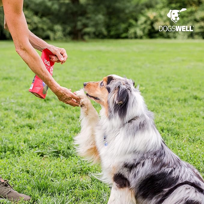 Dogswell Immunity & Defense, Flaxseed Oil, Turmeric, Vitamin E & A, Healthy Aging, Duck Jerky 20 oz, Model: 842222