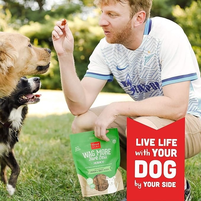 Cloud Star Wag More Bark Less Chicken & Sweet Potato Recipe Grain-Free Jerky Dog Treats 10 Ounce Bag, Model: 693804191113