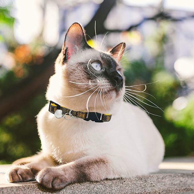MLB CAT Collar San Diego Padres Satin Cat Collar Baseball Team Collar for Dogs & Cats. A Shiny & Colorful Cat Collar with Ringing Bell Pendant