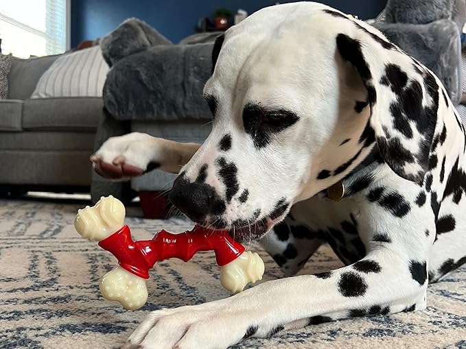 Nylabone Power Chew Double Bone Long Lasting Chew Toy for Dogs Medium - Up to 35 lbs.