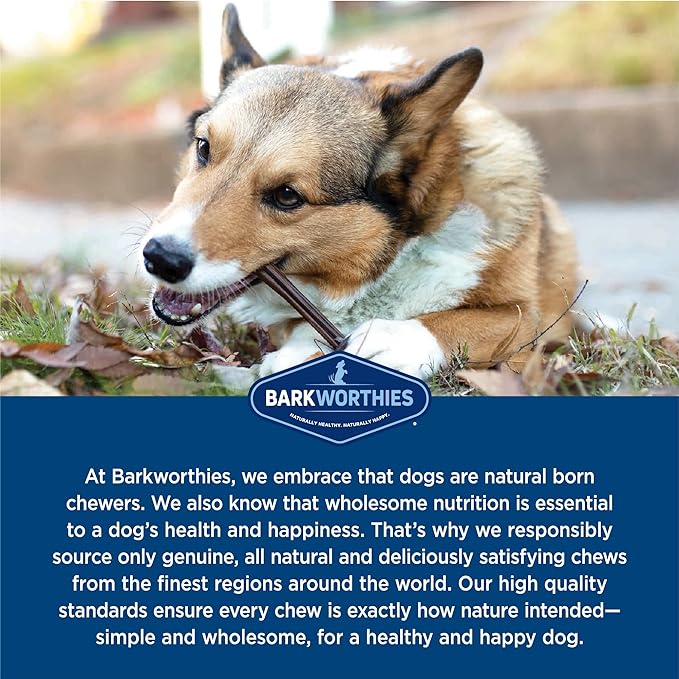 Barkworthies Odor-Free 6-inch Bully Sticks (5 Pack) - Healthy Dog Chews - Protein-Packed, Highly Digestible, All-Natural Rawhide Alternative Dog Treats - Promotes Dental Health