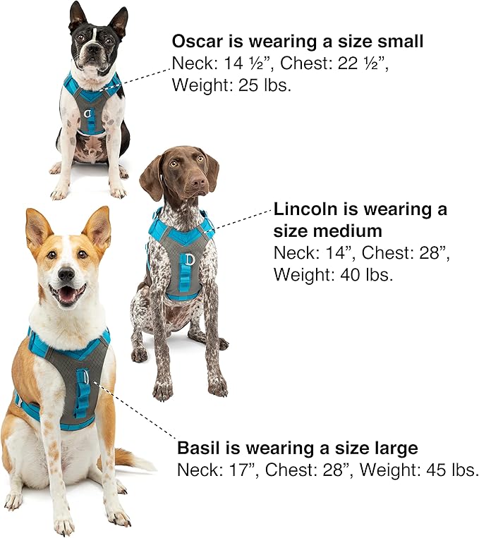 Kurgo Journey Air Dog Harness, Vest Harnesses for Dogs, Pet Hiking Harness for Running & Walking, Reflective, Padded, includes Control Handle, No Pull Front Clip (Coral, Small)
