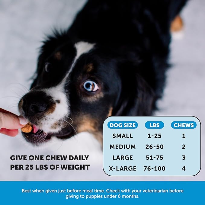 Pet Honesty Omega SkinHealth chews for Dogs, salmon oil, Omega 3 Fish Oil, Krill, Spirulina, Omega-3, Alaskan salmon oil, Healthy Skin & Coat, Itchy Skin, Dog Allergies, May Reduce Shedding (90 Count)