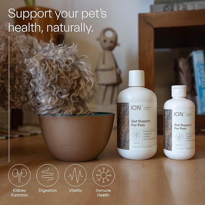 ION Intelligence of Nature Gut Support for Pets | Strengthens Digestion, Supports Kidneys, Aids Immune Function, and Defends from Food Toxins (16 Ounce)