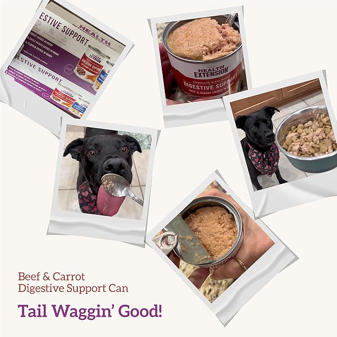 Health Extension Gravy Dog Food, Beef & Carrot Entrée, Crude Protein, Fiber & Fat with Added Vitamins, for All Life Stages, Wet Dog Food, Improve Gut Health, Digestive Support (9 Ounce, 12 Cans)