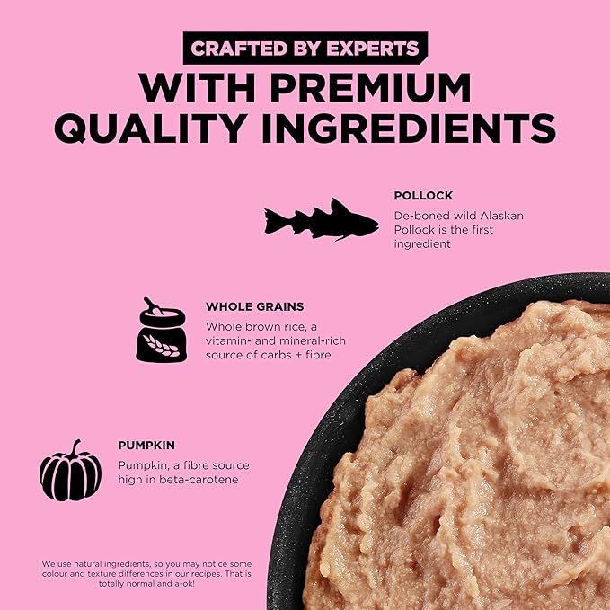 GO! SOLUTIONS Skin + Coat Care Wet Dog Food - Pollock Pâté with Grains - Complete & Balanced Nutrition for All Life Stages, 12.5 oz