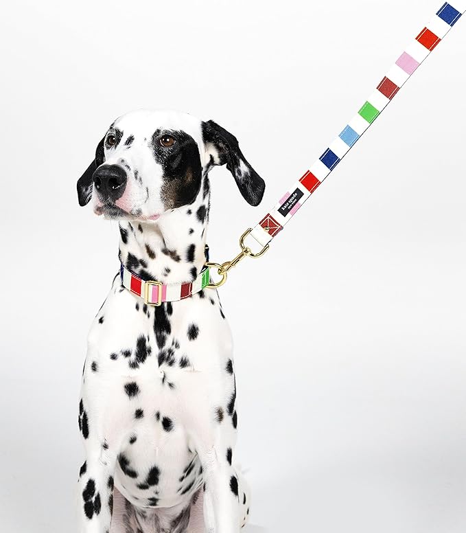 Kate Spade New York Heavy Duty Leash for Female or Male Dogs, Cute Pet Leash with Gold Metal Hardware, Long Dog Lead for Small Medium Large Breeds (Large, Adventure Stripe)