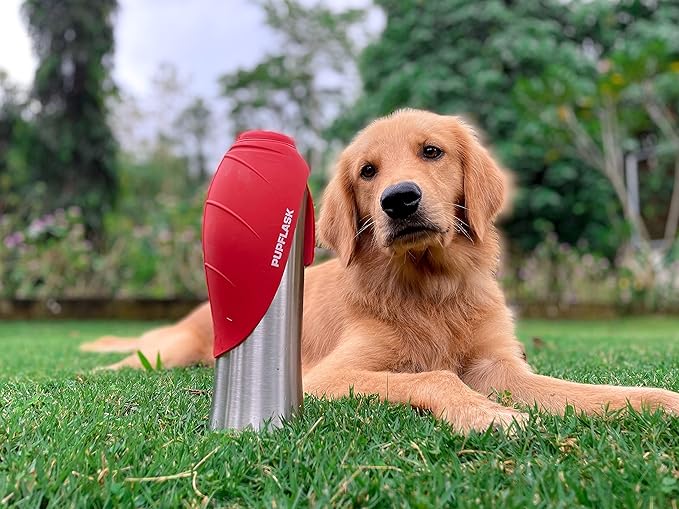 PupFlask Large Dog Water Bottle | 27 or 40 OZ Stainless Steel | Convenient Dog Water Dispenser | Puppy Travel Water Bowl | Portable Pet Water Bottle | Leak Proof Bottle Perfect Size For All Dog Breeds