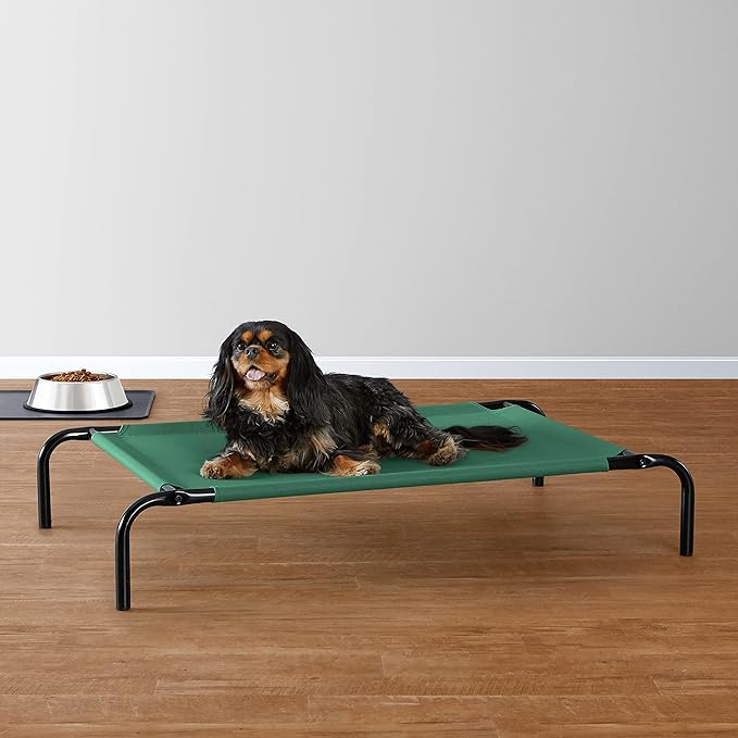 Amazon Basics Cooling Elevated Dog Bed with Metal Frame, Small, 36 x 22 x 7.5 Inch, Green